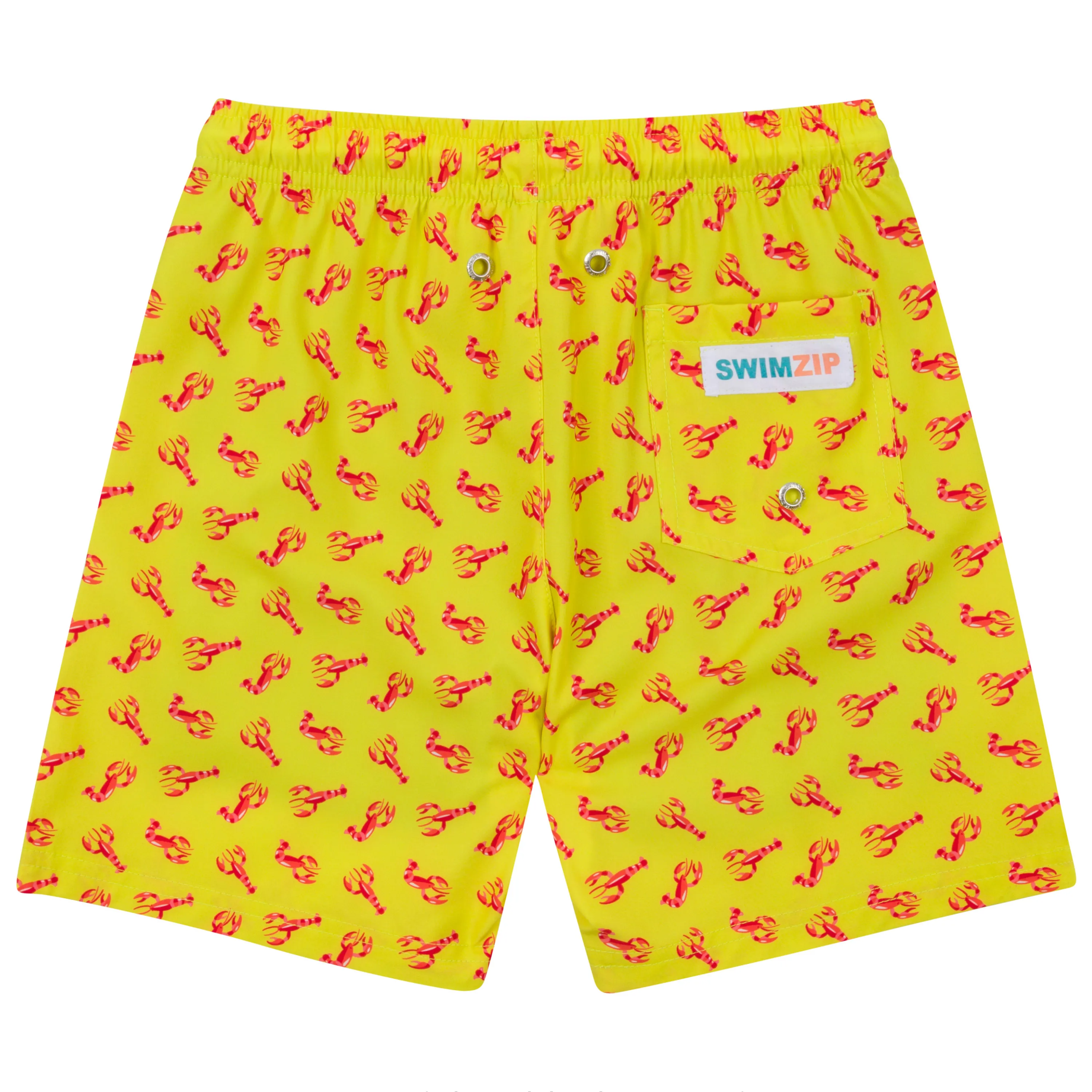 Boys Swim Trunks Boxer Brief Liner (sizes 6C14) | Lobster"