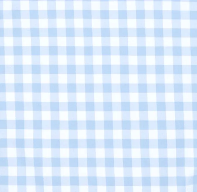 girls oasis blue gingham rashguard one piece